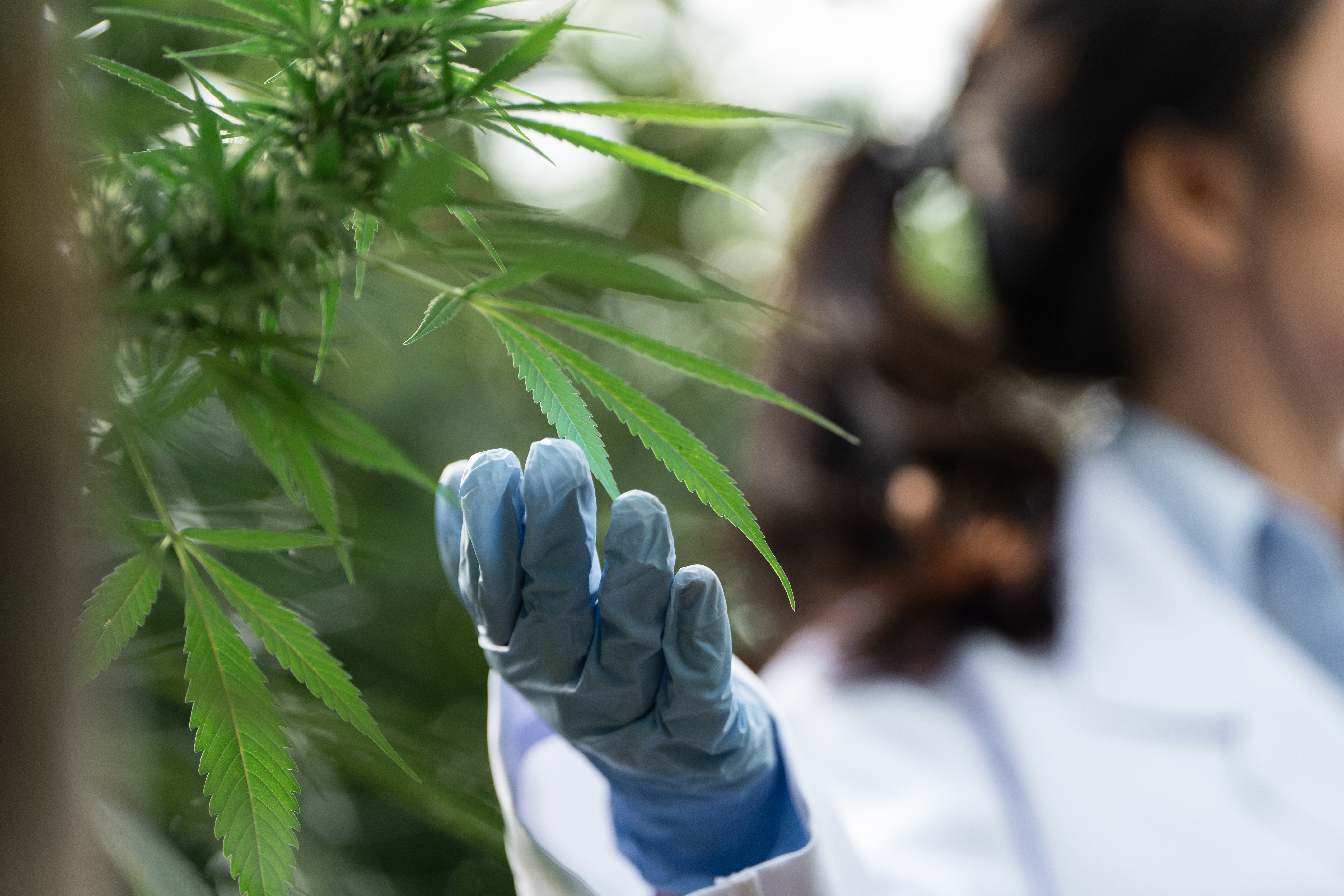 Equilíbrio Biológico